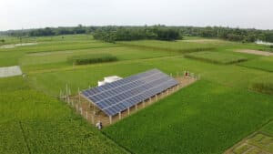 koica-solar-project-rajshahi